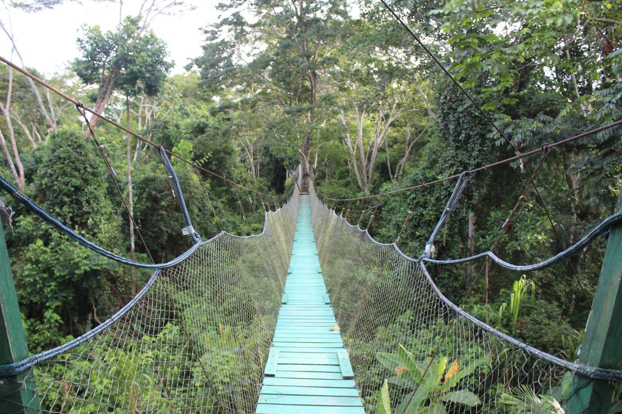 Tronco Tambopata Adventure Hotel Puerto Maldonado Exterior photo
