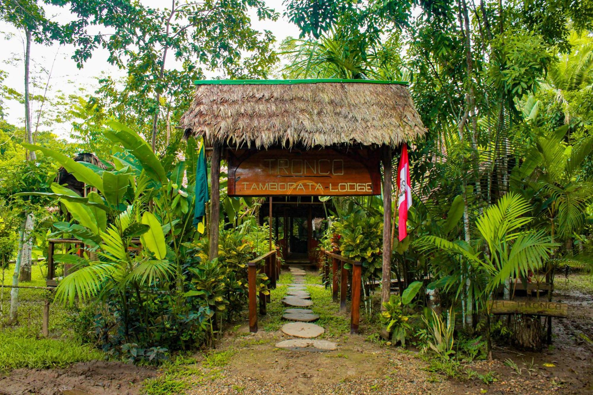 Tronco Tambopata Adventure Hotel Puerto Maldonado Exterior photo