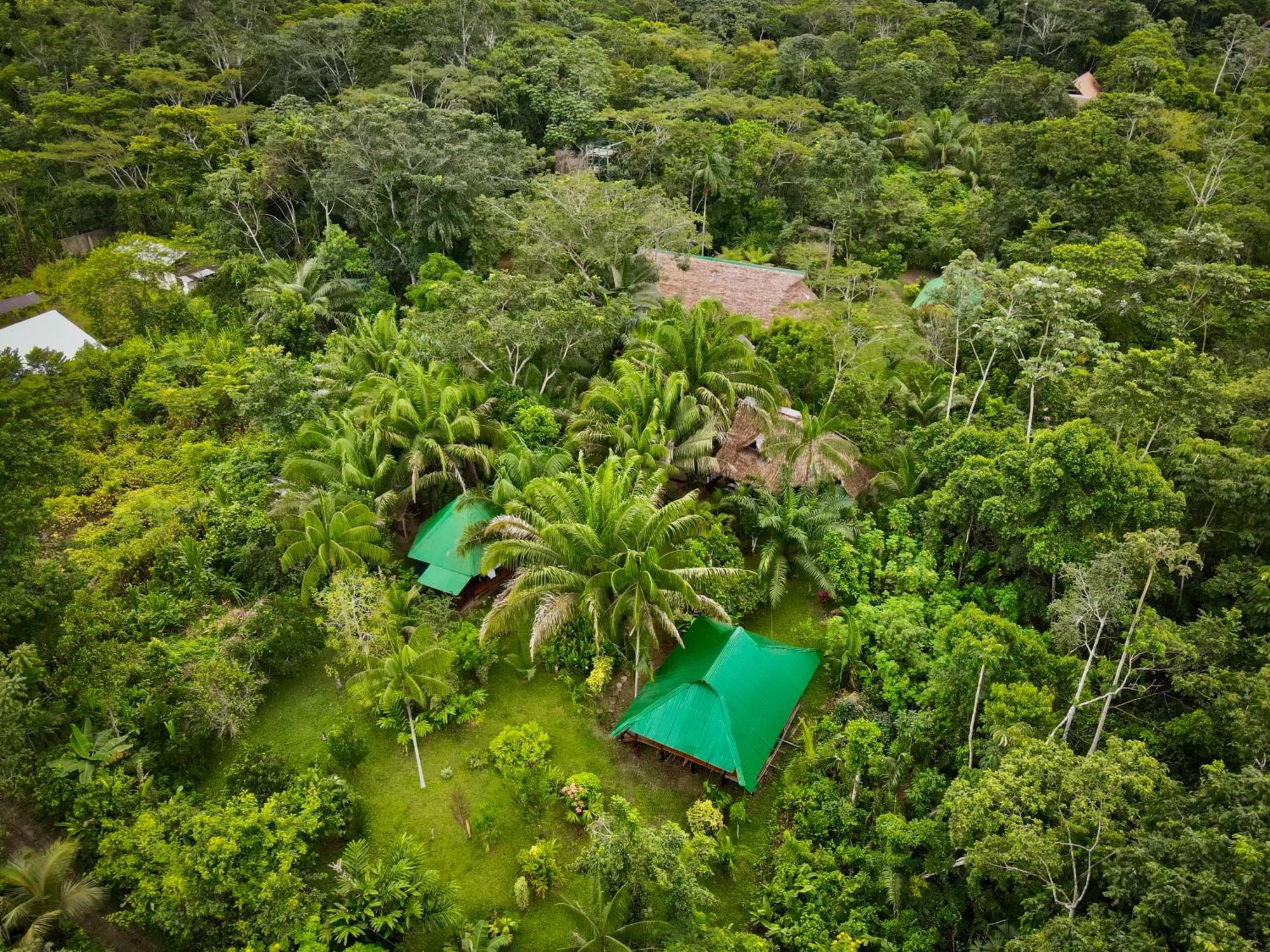 Tronco Tambopata Adventure Hotel Puerto Maldonado Exterior photo